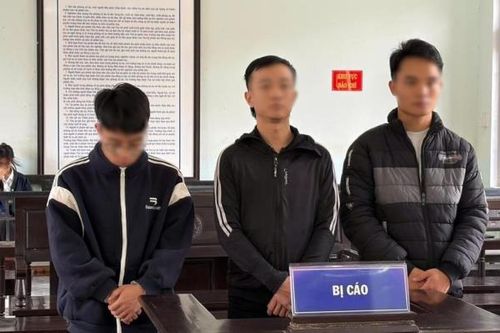 Giảm án cho nhóm làm giả hàng trăm tài liệu của cơ quan, tổ chức
