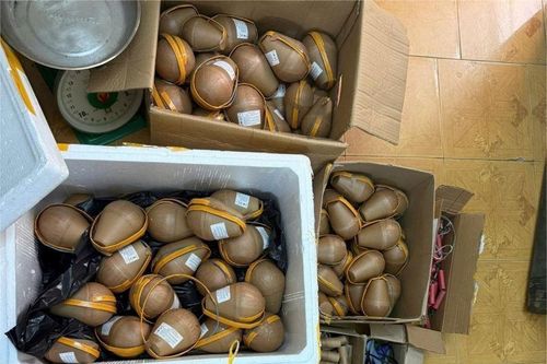 Chế tạo gần 30kg pháo hoa nổ tại nhà riêng, nam thanh niên bị khởi tố