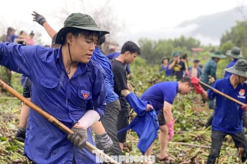 Hơn 509 nghìn lượt đoàn viên, thanh niên Đà Nẵng tình nguyện vì cộng đồng