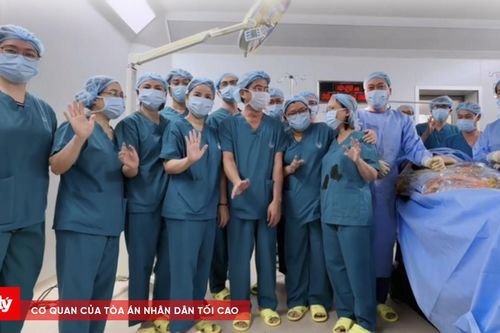 Can thiệp tim bào thai cho thai nhi mắc dị tật tim bẩm sinh hiếm gặp