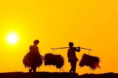 Ngân hàng rao bán khoản nợ liên quan Tập đoàn Lộc Trời