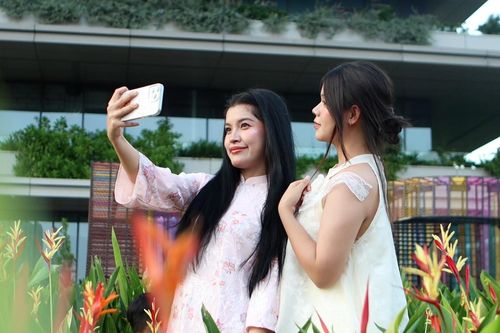 Giới trẻ háo hức diện áo dài check-in vườn hoa Tết sớm cạnh sông Sài Gòn