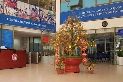 TPHCM bổ nhiệm hàng loạt hiệu trưởng, hiệu phó
