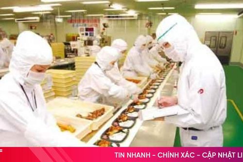 Nên đi xuất khẩu lao động Nhật Bản hay Đài Loan?