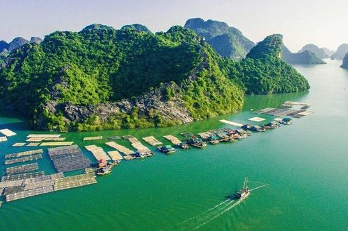Khám phá những vùng biển trải dài khắp từ Bắc đến Nam qua sách song ngữ
