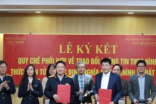 Cục Thuế và Cục Quản lý đất đai liên thông điện tử quản lý nghĩa vụ tài chính