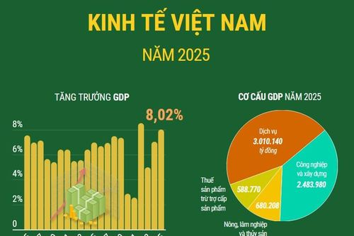 Kinh tế Việt Nam năm 2025