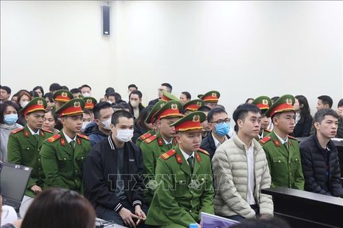 Vụ sữa giả tại Z Holding: Phân biệt giữa hàng giả và hàng kém chất lượng