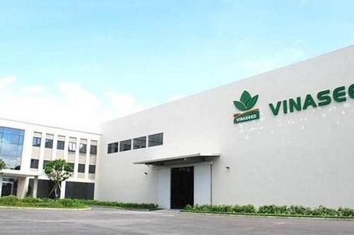 PAN Farm sắp nhận hàng chục tỷ đồng cổ tức từ Vinaseed