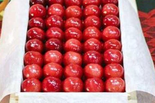 Dân mạng xôn xao trước loại trái cây cực đắt tiền, hơn 4 triệu cho một quả nhỏ xíu