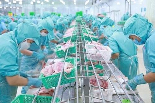 Ngành thủy sản đặt mục tiêu xuất khẩu 11,5 tỷ USD năm 2026