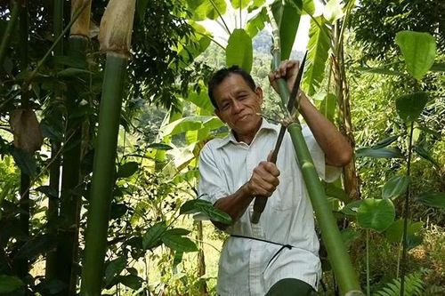 Thoát nghèo bền vững từ những mô hình sinh kế phù hợp