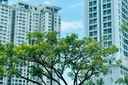 Quý 4/2025 xác lập kỷ lục mới về nguồn cung căn hộ tại Hà Nội và TP.Hồ Chí Minh