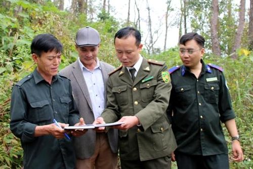 Chuyển mục đích sử dụng rừng: Kiểm soát chặt để phát triển rừng bền vững