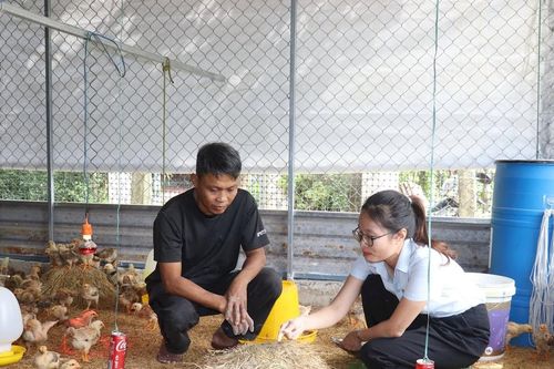 Đà Nẵng quy định mức hỗ trợ khắc phục dịch bệnh động vật