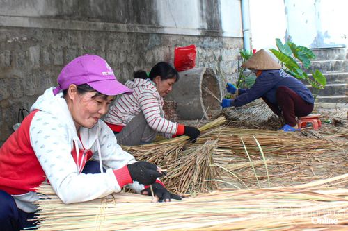 Có thể vay tới 200 triệu đồng để tự tạo việc làm