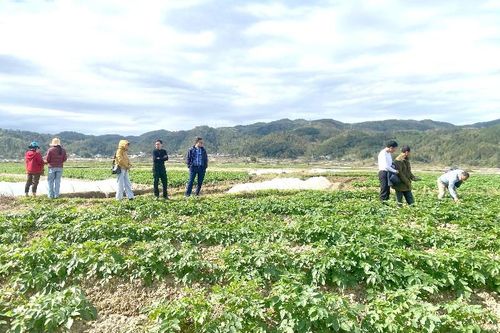 Kiểm tra công tác phòng chống đói, rét, dịch bệnh tại xã Mường Than