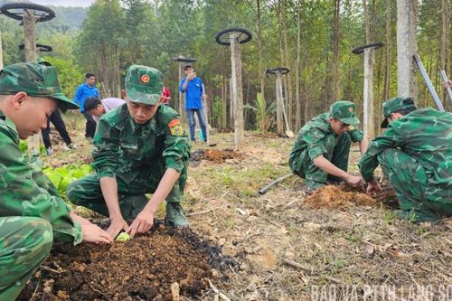 Xóa vườn tạp, trồng ấm no
