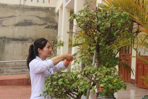 'Xanh hóa' không gian y tế