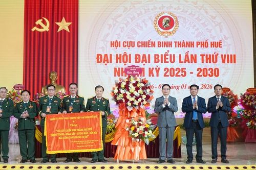 Phát huy truyền thống 'Bộ đội cụ Hồ', góp sức xây dựng quê hương
