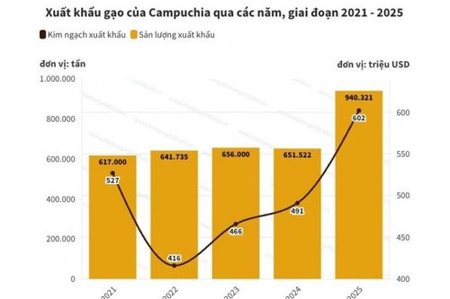 Campuchia xuất khẩu gần một triệu tấn gạo trong năm 2025