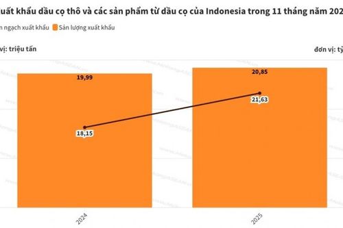 Indonesia: Xuất khẩu dầu cọ đạt hơn 21 tỷ USD