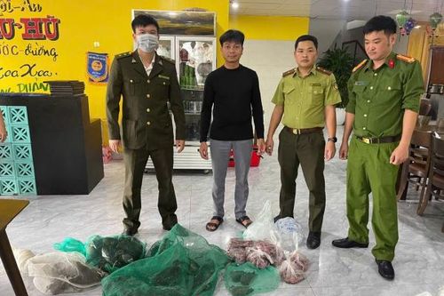 Tăng cường kiểm tra đột xuất, phát hiện, xử lý vi phạm (bài cuối)