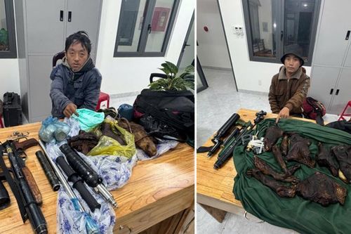 Phát hiện 2 người đàn ông mang theo súng và nhiều bộ phận của động vật rừng