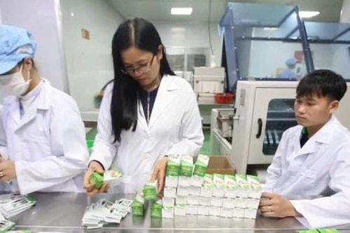 Người đi tìm giá trị cho dược liệu Việt