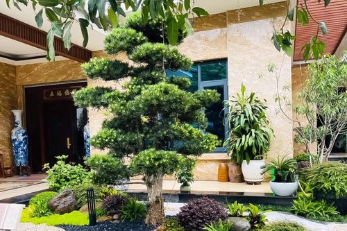 Những việc nên làm dịp cuối năm để chiêu tài lộc, gặp nhiều may mắn trong năm mới