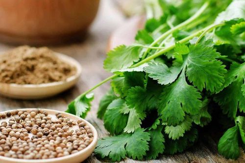 5 loại thực phẩm giúp thận lọc độc tố hiệu quả