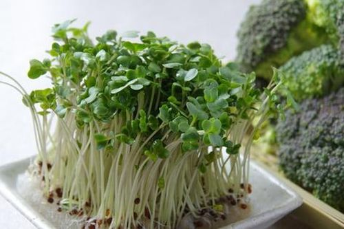 6 nhóm thực phẩm nên ăn để giảm mỡ nội tạng