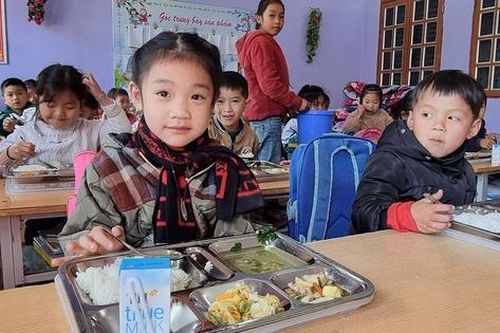 Giáo dục dinh dưỡng là giải pháp bền vững cho sức khỏe học đường