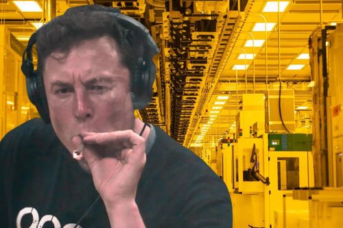 Elon Musk sẽ hút thuốc trong phòng chip của mình