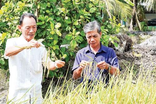 Hồi sinh vùng đất khó mang tên Nhà Lầu