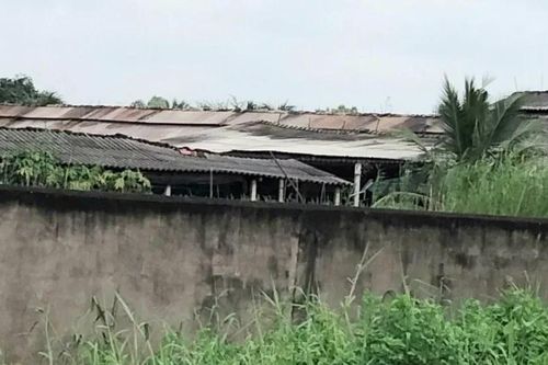 Tây Ninh: Buộc dừng hoạt động trại gà gây ô nhiễm trong khu dân cư