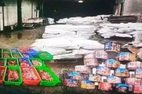 Khởi tố 9 bị can tuồn 120 tấn thịt lợn nhiễm bệnh vào Công ty đồ hộp Hạ Long