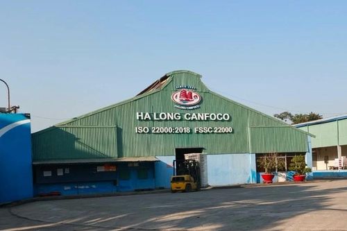 120 tấn lợn bệnh, HaLong Canfoco nói không đưa vào sản xuất, cung ứng