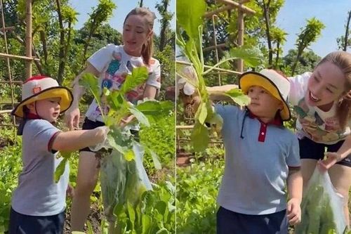 Mãn nhãn khu vườn xanh mướt của diễn viên Chi Bảo và vợ trẻ