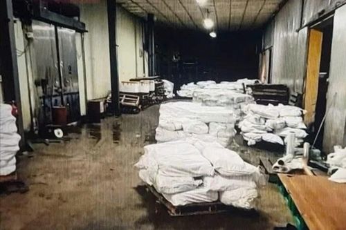 Phát hiện 130 tấn thịt lợn bệnh tuồn vào Công ty Đồ hộp Hạ Long thế nào?