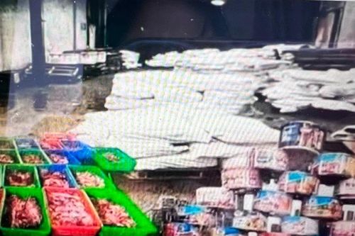 Khởi tố vụ án dùng thịt lợn nhiễm dịch tả làm đồ hộp ở Hải Phòng