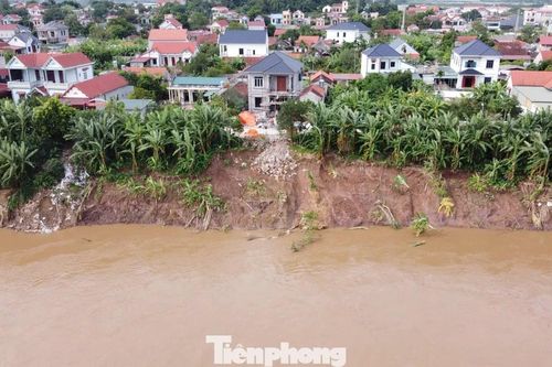 Phú Thọ xây dựng công trình khẩn cấp chống sạt lở đê sông Lô