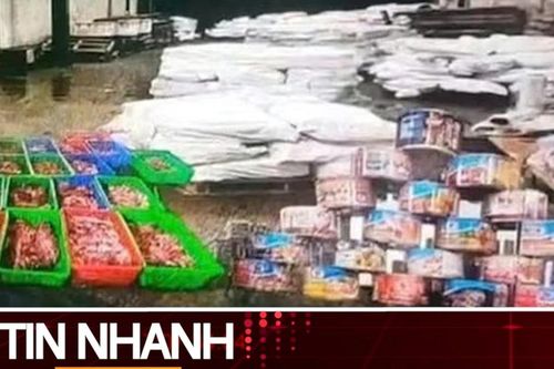 TIN NHANH: Hơn 120 tấn thịt bệnh dịch tả heo châu Phi tuồn vào Công ty Cổ phần đồ hộp Hạ Long như thế nào?
