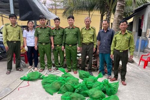 Bỏ lại 22 con chồn hương khi thấy bóng công an tuần tra