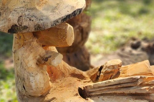 Ngắm ngựa đội nón, đọc sách ở Văn Miếu - Quốc Tử Giám