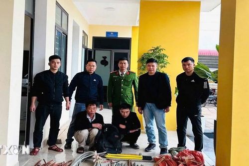 Hà Tĩnh: Triệt phá nhiều vụ trộm cắp vào dịp cuối năm