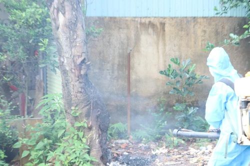 Sốt xuất huyết diễn biến phức tạp: Cần chủ động phòng chống dịch từ sớm