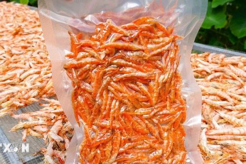 Cà Mau: Các làng nghề làm tôm khô rộn ràng vào vụ Tết Nguyên đán