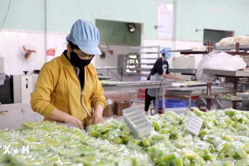 Nhiều làng nghề truyền thống ở Hưng Yên tất bật sản xuất cho vụ Tết