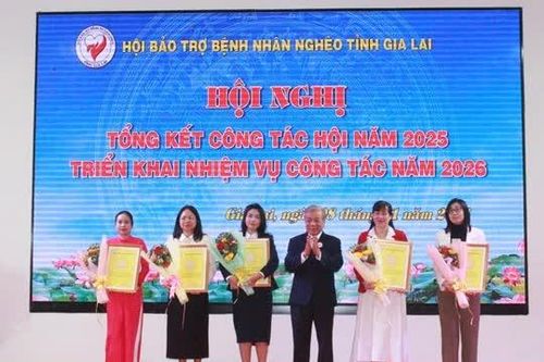Hội Bảo trợ bệnh nhân nghèo Gia Lai huy động hơn 124 tỷ đồng cho an sinh xã hội